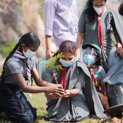 බාලදක්ෂ තුරු සරසි වැඩසටහන